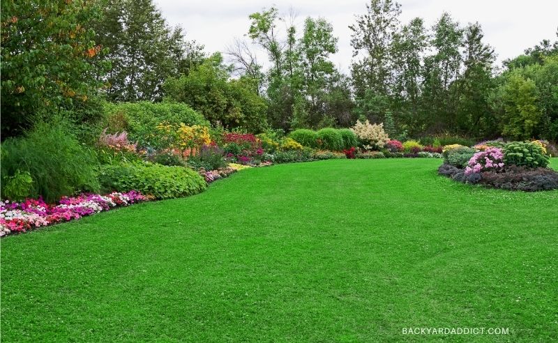 garden with beautiful lush green lawn