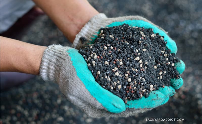 gloved hands holding fertilizer