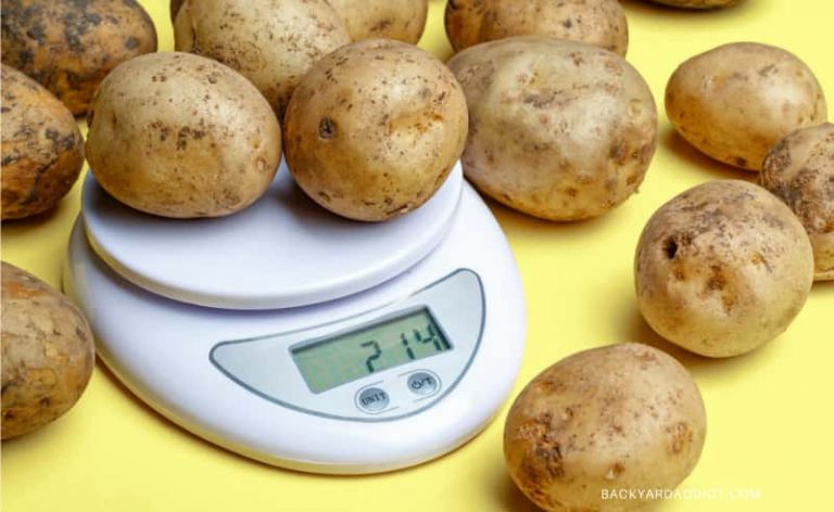 How Many Potatoes In A Pound? We Weighed Them!