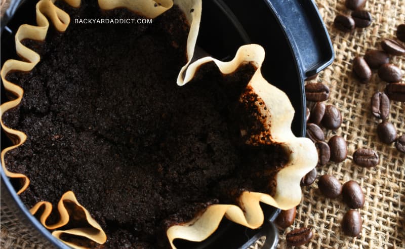 close up of used coffee filter