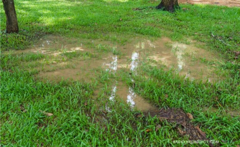 standing water on a very wet yard
