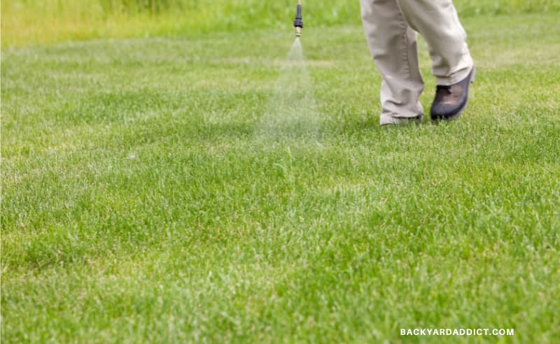 gardener applying a crabgrass preventer