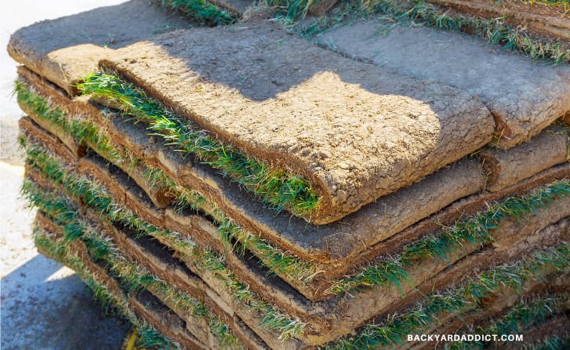 How Long Does It Take Sod to Root? A Guide for Gardeners | My Garden Days