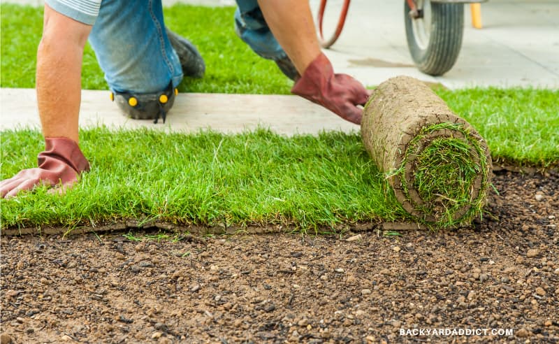 gardener unrolling and installing new sod