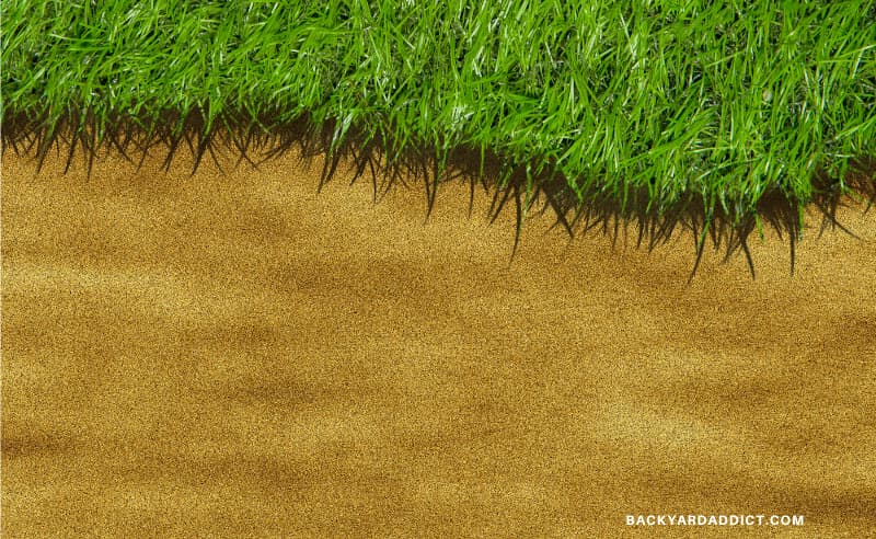 strip of grass growing right next to sand