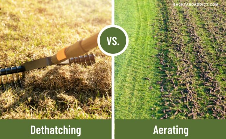pictures of dethatching vs aerating