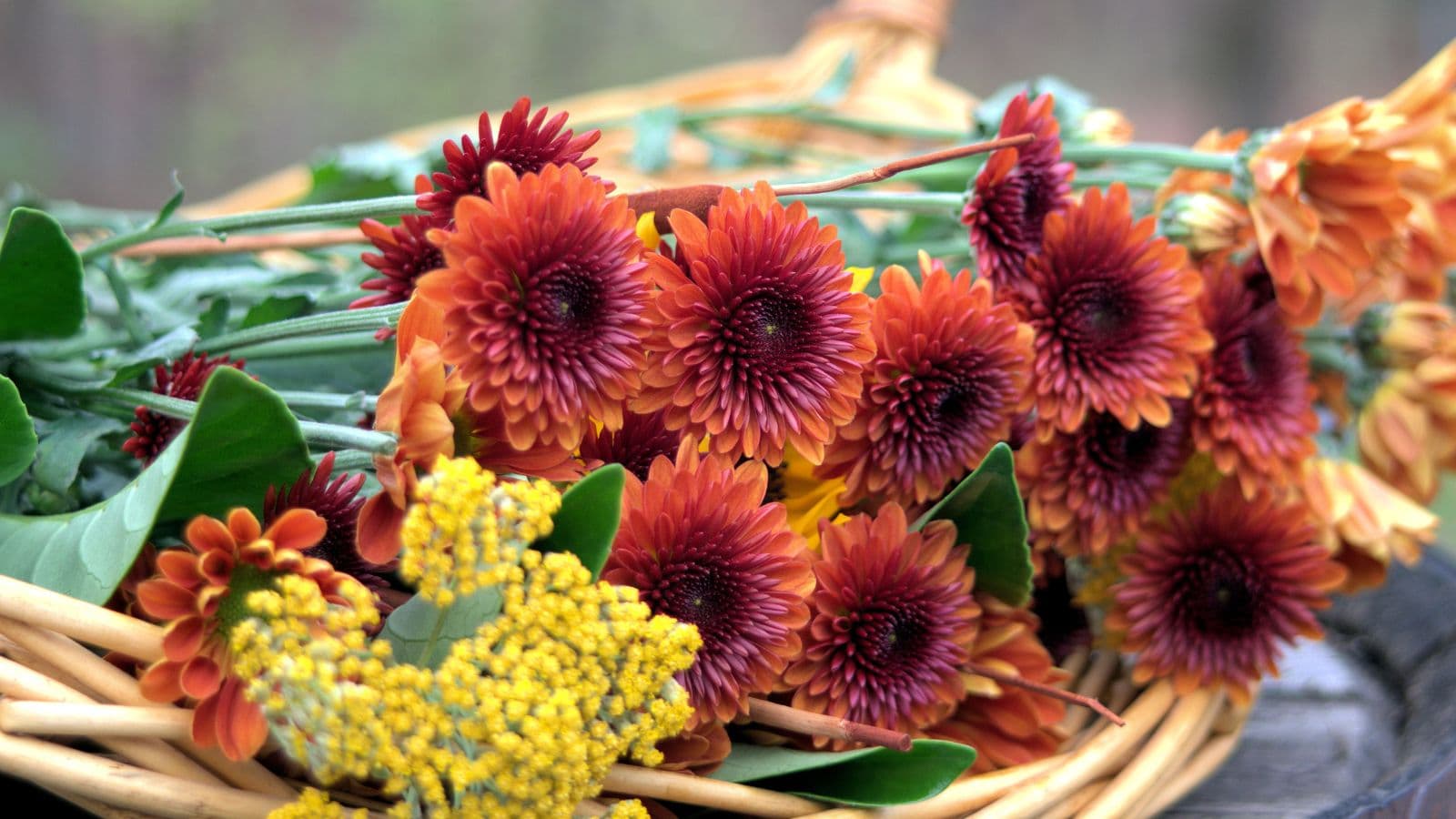 A selection of picked Fall flowers laying in a basket