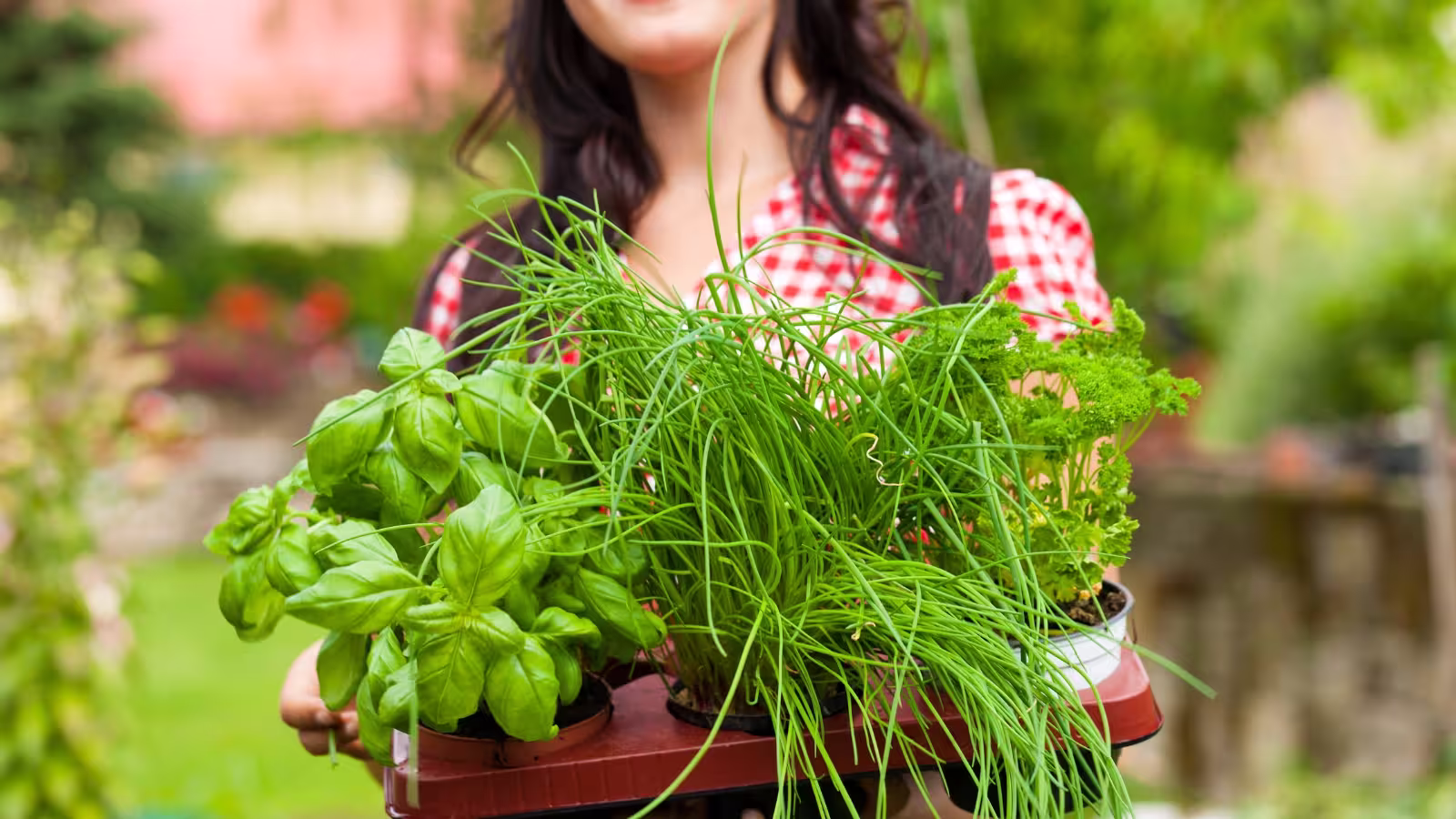 women holding a tray with pots of herbs