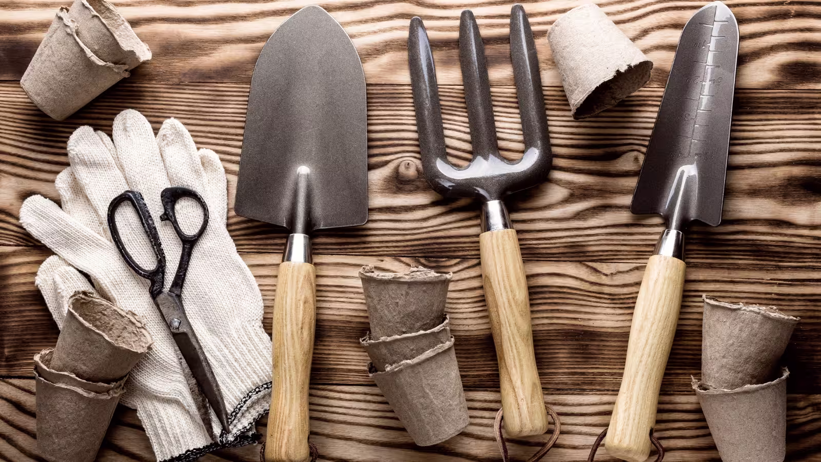 selection of hand tools on a gardening bench