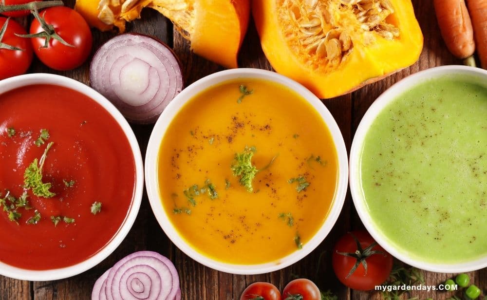 three bowls of vegetable soup surrounded by fresh vegetables