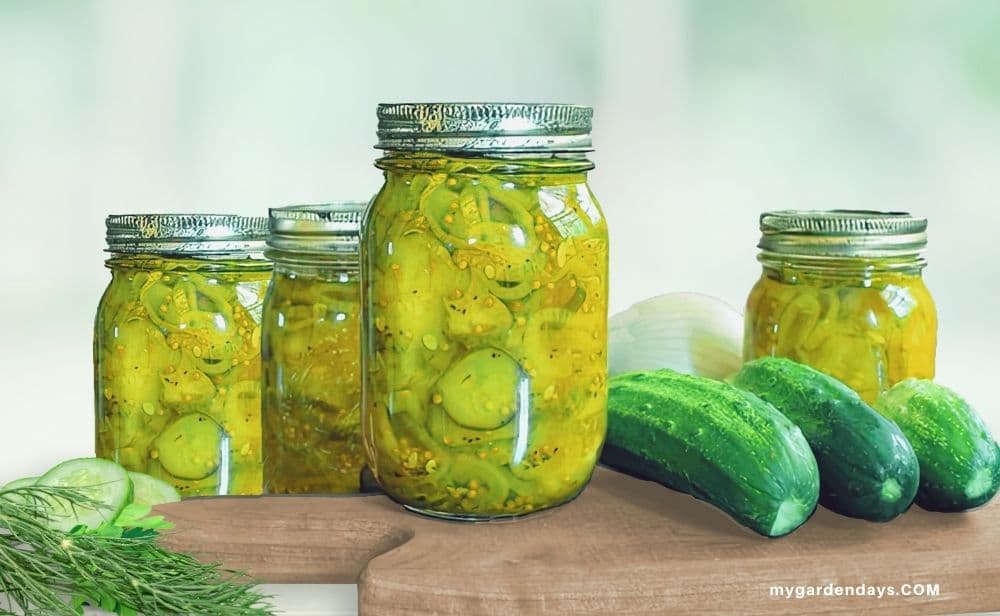 Jars of bread and butter pickles on a wooden board surrounded by fresh cucumbers, dill, and onions.