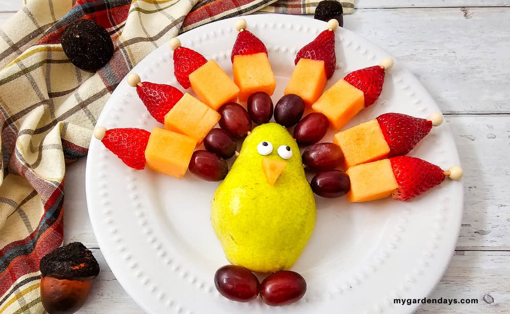 Overhead view of a pear-shaped Thanksgiving fruit turkey with candy eyes and fruit skewers for feathers on a white plate with a plaid cloth.