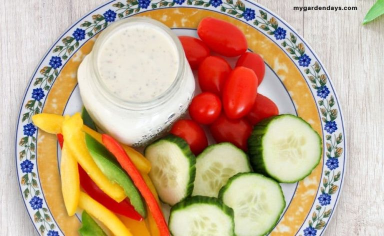 Plate of easy veggie dip in a jar with sliced vegetables on a floral border plate