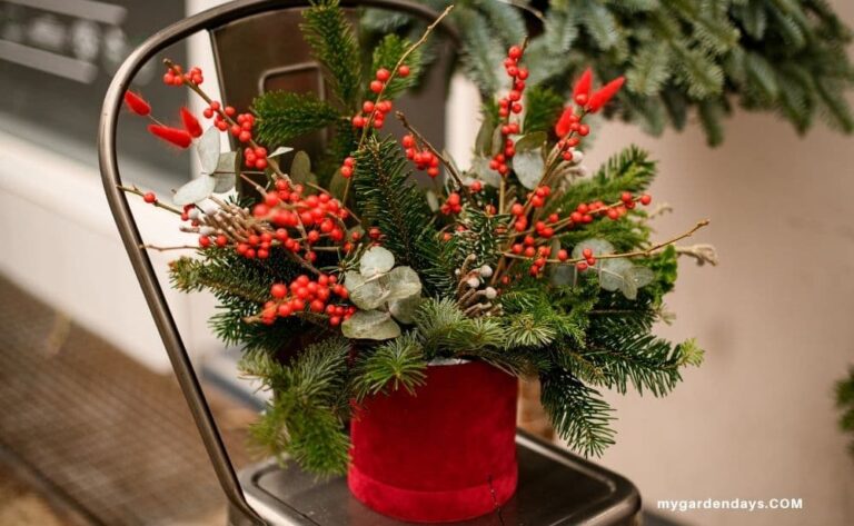 Red velvet pot with evergreens, eucalyptus, and red berries sitting on a chair for festive decor.
