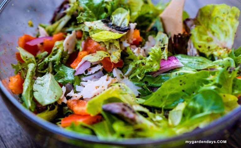 close up of a summer salad